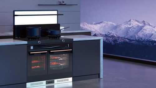 2024年集成灶銷量前十產(chǎn)品盤點(diǎn) 互聯(lián)網(wǎng)銷售市場格局分析