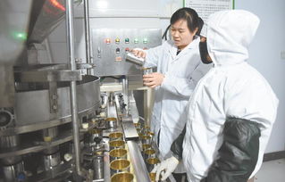 綠色技術創新 青海省蠶豆罐頭研發助力生物化工新突破